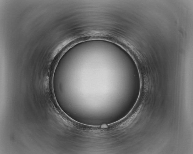 X0000111601066200907231231