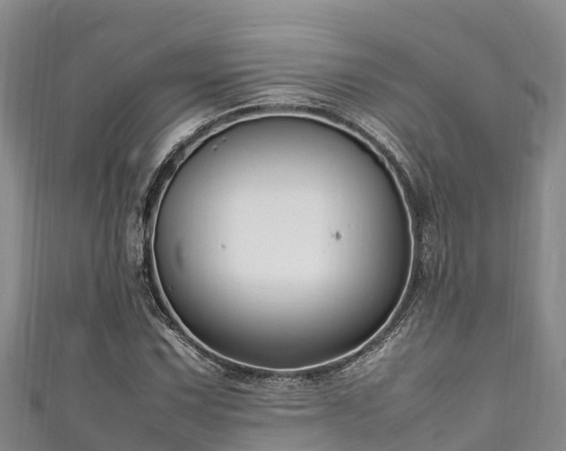 X0000111601067200907231231