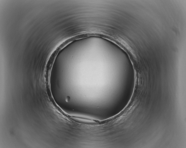 X0000111601068200907231231
