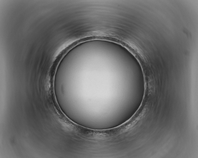 X0000111601070200907231231