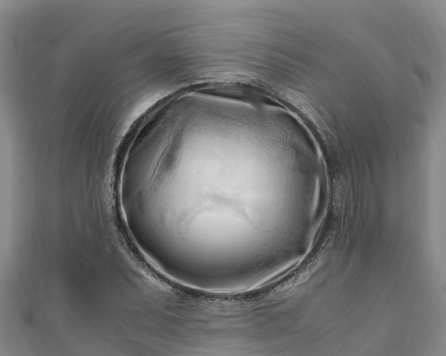 X0000111601071200907231231