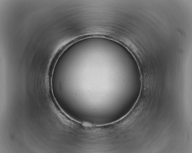 X0000111601072200907231231