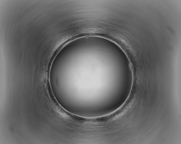 X0000111601073200907231231