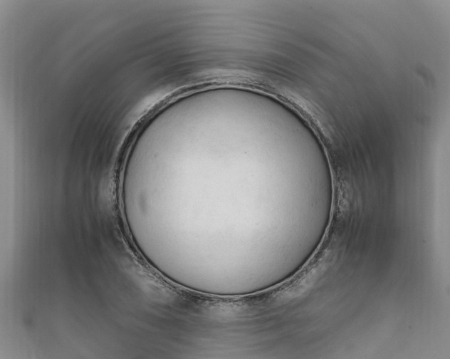 X0000111601074200907231231