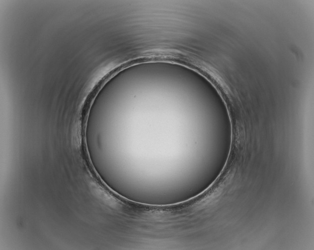 X0000111601075200907231231