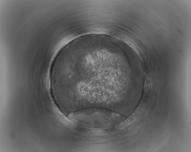 X0000111601080200907231231