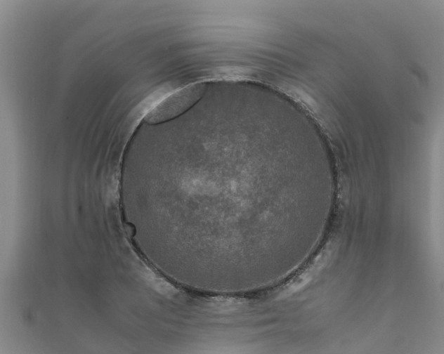X0000111601081200907231231