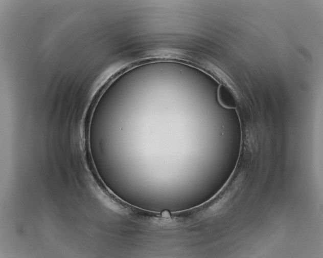X0000111601082200907231231