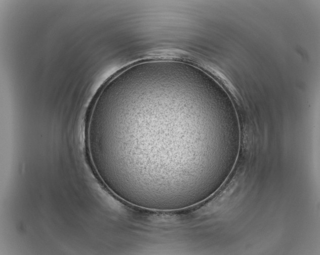 X0000111601083200907231231