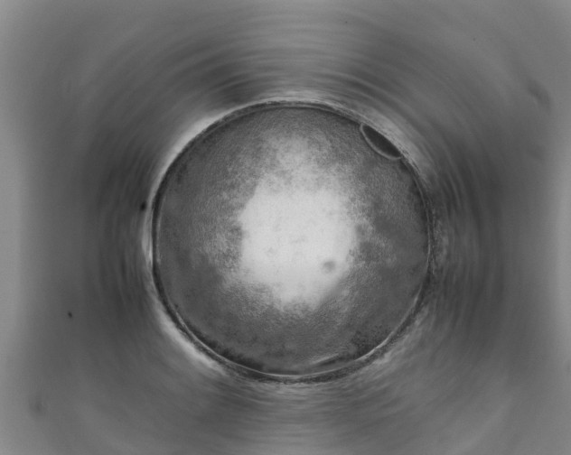 X0000111601084200907231231
