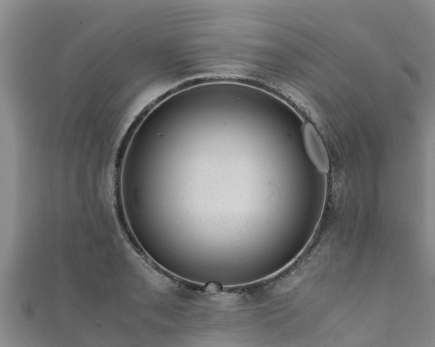 X0000111601085200907231231