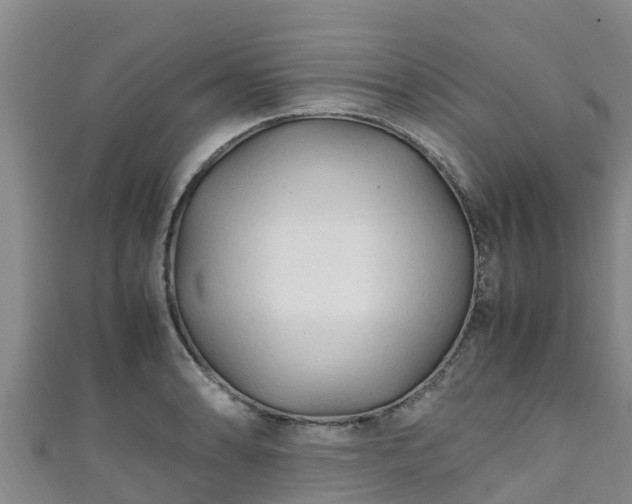 X0000111601086200907231231