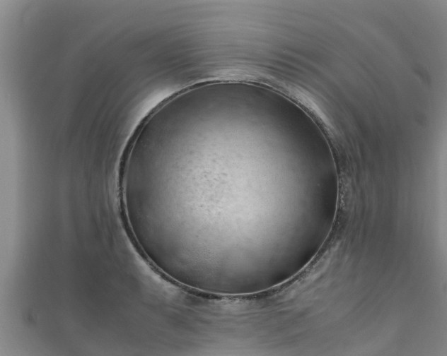 X0000111601087200907231231