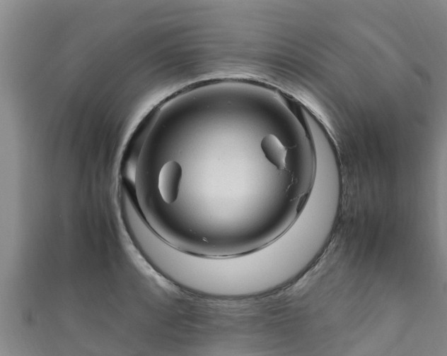 X0000111601088200907231231