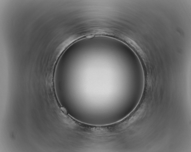 X0000111601089200907231231