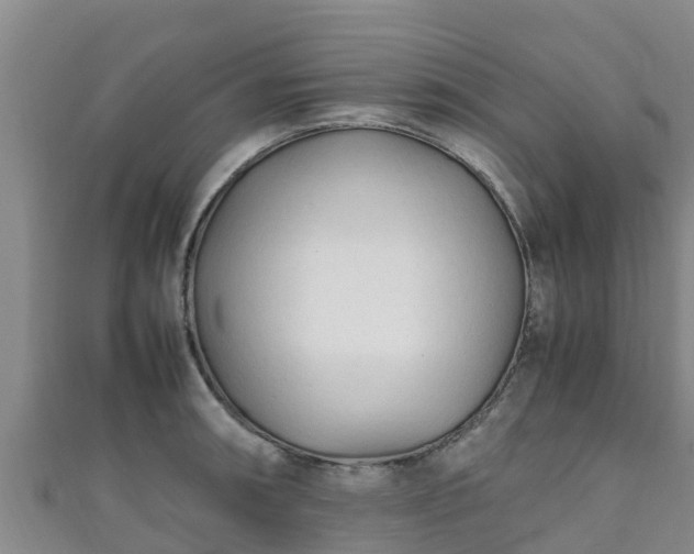 X0000111601090200907231231