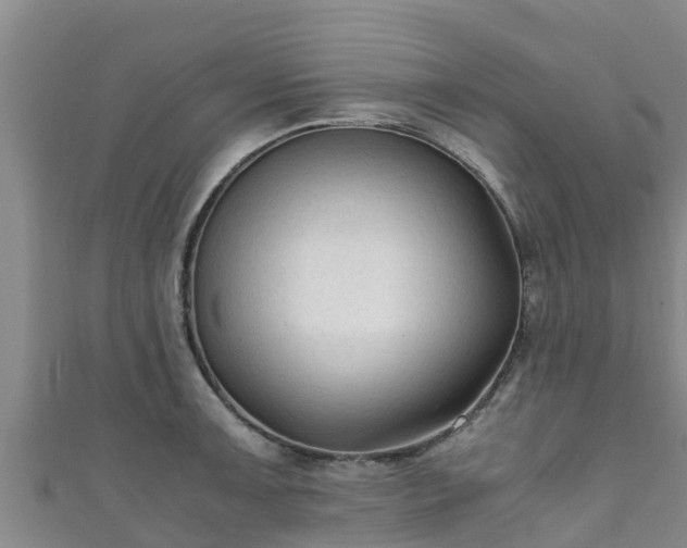 X0000111601091200907231231