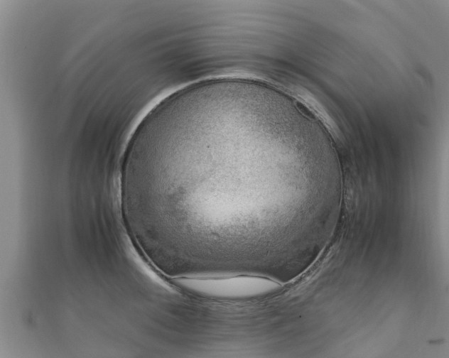 X0000111601092200907231231