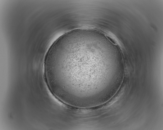 X0000111601095200907231231