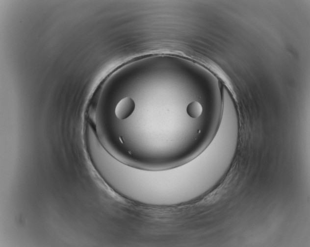 X0000111601096200907231231