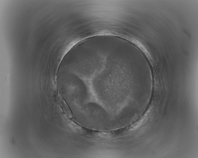 X0000111601097200907231231