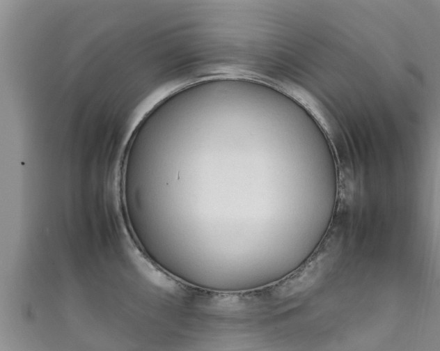 X0000111601098200907231231