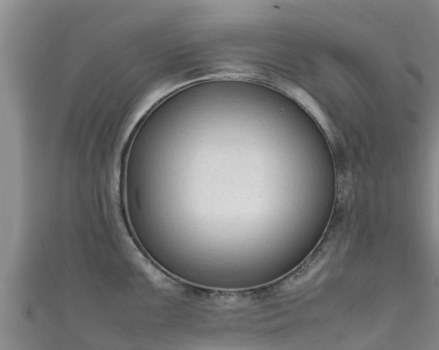X0000111601099200907231231