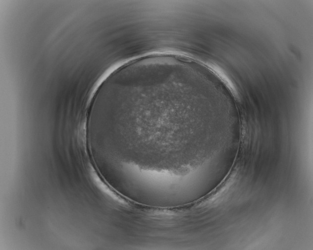 X0000111601100200907231231