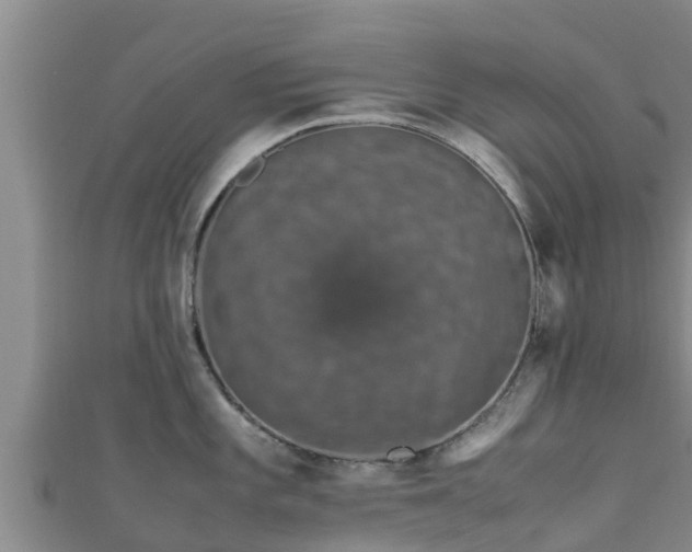 X0000111601101200907231231
