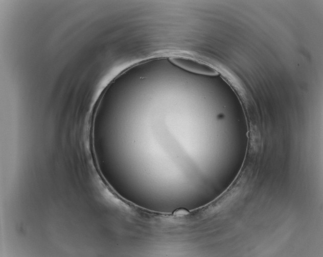X0000111601102200907231231