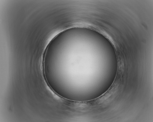 X0000111601103200907231231