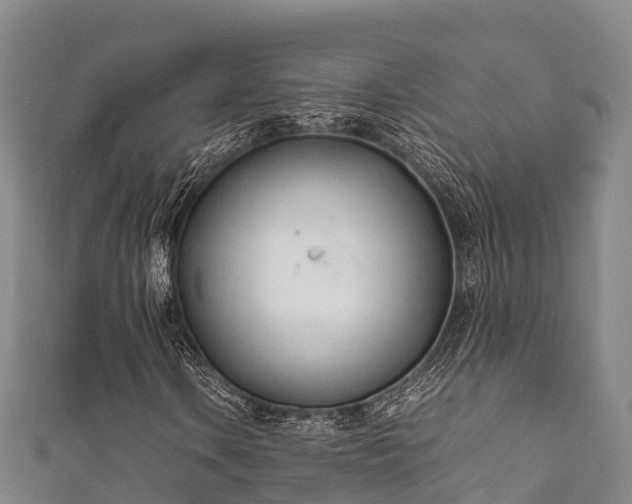 X0000111601106200907231230
