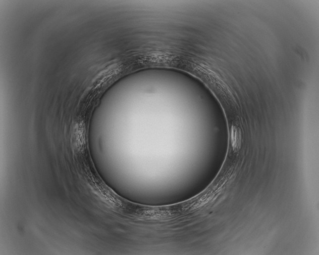 X0000111601107200907231230