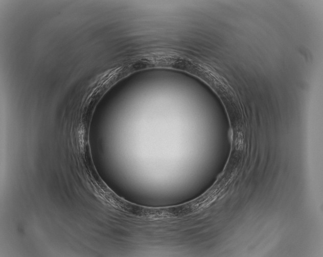 X0000111601108200907231230