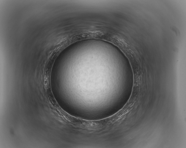 X0000111601109200907231230