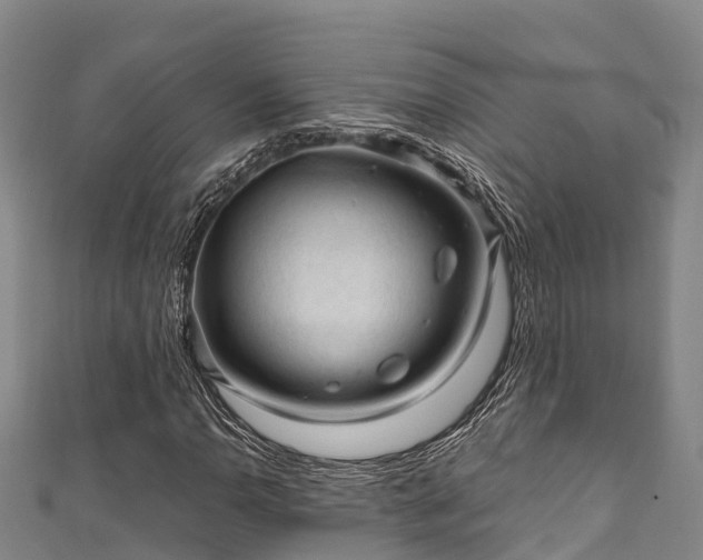 X0000111601110200907231230