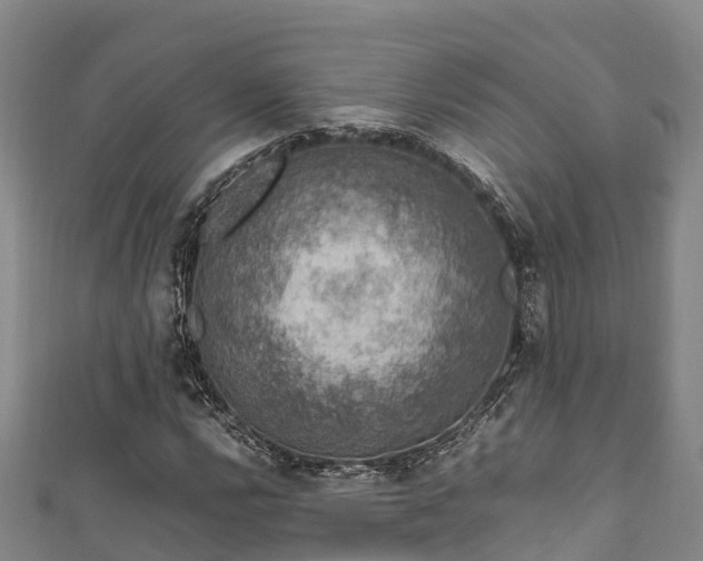 X0000111601112200907231230