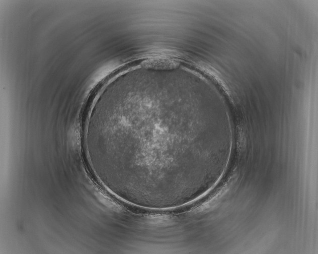 X0000111601114200907231230