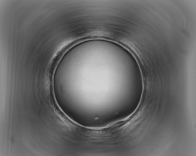X0000111601115200907231230