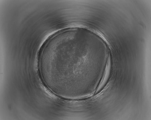 X0000111601116200907231230