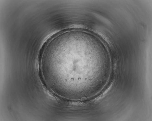 X0000111601117200907231230