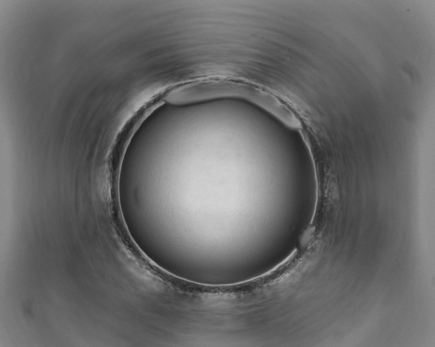 X0000111601118200907231230