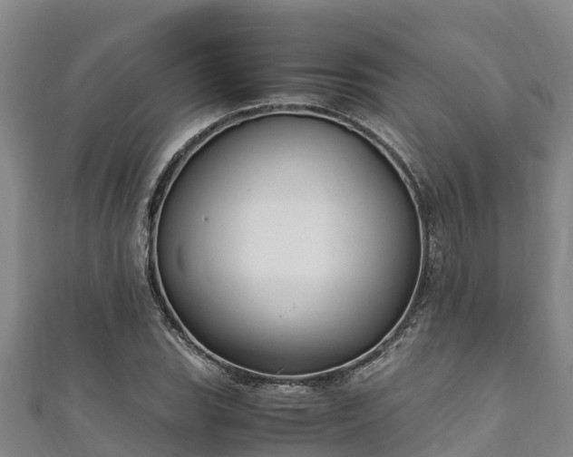 X0000111601119200907231230