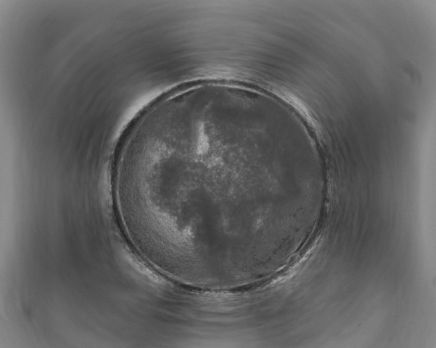 X0000111601120200907231230