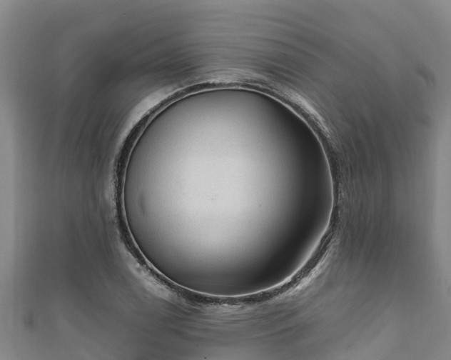 X0000111601122200907231230