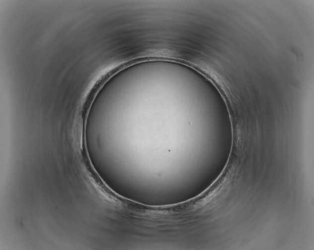 X0000111601123200907231230