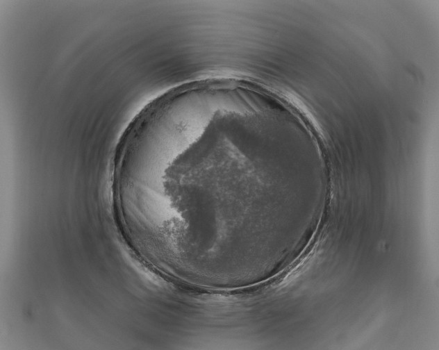 X0000111601124200907231230