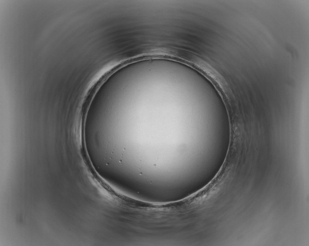 X0000111601127200907231230
