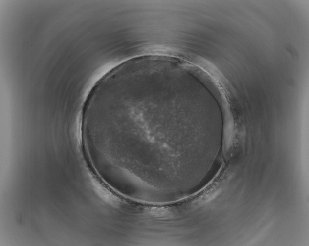 X0000111601128200907231230
