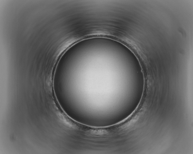 X0000111601129200907231230